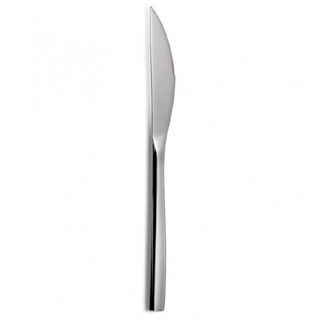 Steak knives stainless steel - Laguiole - Amefa