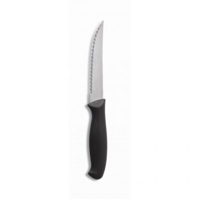 Steak knives stainless steel - Laguiole - Amefa