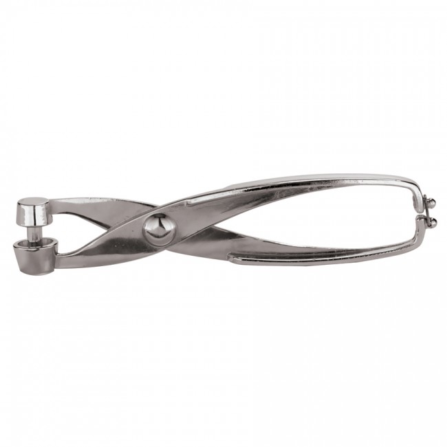 Inox pitter for olives and cherries - Louis Tellier