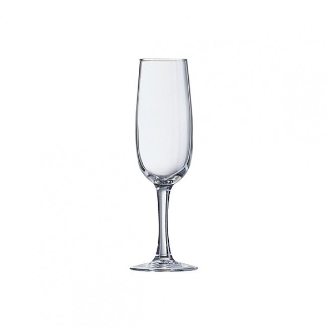 Champagne flute 5.7 oz / 17 cl - Elisa – Arcoroc