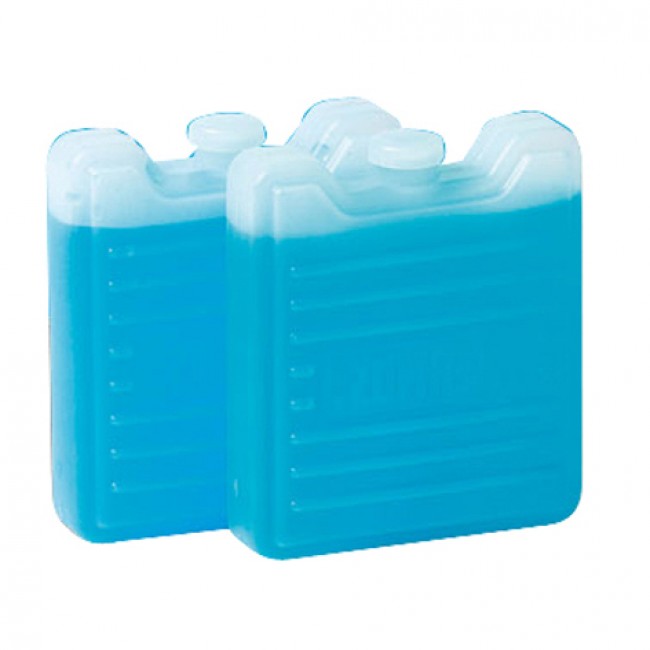 Set of 2 eutectic plates cold accumulator 100g 8 x 7,3 x 2,3 cm