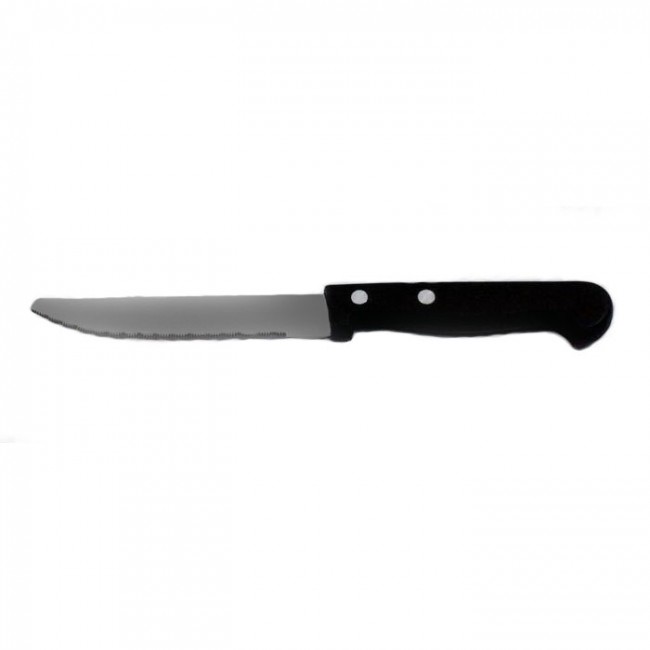 Set of 12 steak knife round toe and plastic handle - Polypro - Amefa