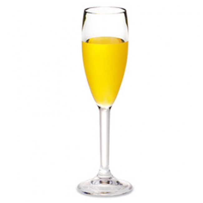 Polycarbonate champagne flutes outlet