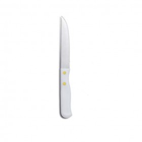 Stainless steel non serrated steak knives with plastic handle 7.8" / 20 cm - Set of 6