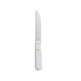 Stainless steel steak knives with plastic handle 7.8" / 20 cm - Set of 6