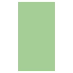 Aniseed green paper towel 33 x 40cm one fold - Sold by 100