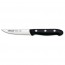 Paring knife 10.5cm blade Nitrum stainless steel - Singly sold - Maître - Arcos