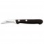 Coring / paring knife - 6cm blade Nitrum stainless steel - Universal - Arcos