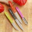 Set of 4 knives Les Essentiels - Opinel