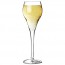 Glass champagne flute 16cl / 5,5oz - Brio - Arcoroc