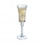Krysta transparent champagne flute 5 oz / 15 cl - Set of 6 - Lady Diamond