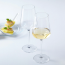 White wine glass 19oz / 56cl - Set of 6 - Leonardo