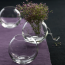 Glass ball-shaped vase 20cm - Boccia - Leonardo